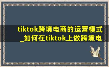 tiktok跨境电商的运营模式_如何在tiktok上做跨境电商