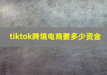 tiktok跨境电商要多少资金