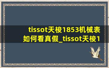 tissot天梭1853机械表如何看真假_tissot天梭1853如何分真假