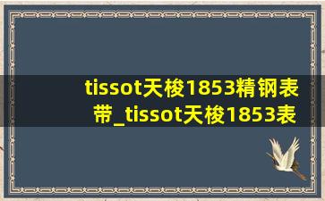 tissot天梭1853精钢表带_tissot天梭1853表带长了怎么卸