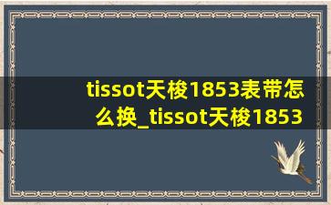 tissot天梭1853表带怎么换_tissot天梭1853表带