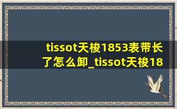 tissot天梭1853表带长了怎么卸_tissot天梭1853表带怎么换