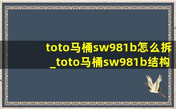 toto马桶sw981b怎么拆_toto马桶sw981b结构