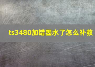 ts3480加错墨水了怎么补救