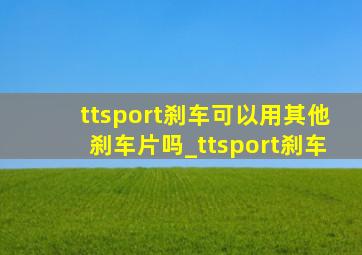 ttsport刹车可以用其他刹车片吗_ttsport刹车