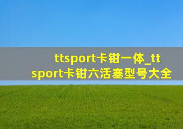 ttsport卡钳一体_ttsport卡钳六活塞型号大全