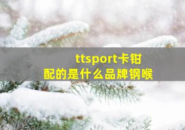 ttsport卡钳配的是什么品牌钢喉