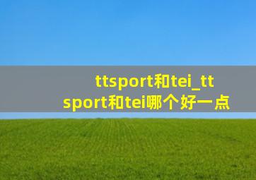 ttsport和tei_ttsport和tei哪个好一点