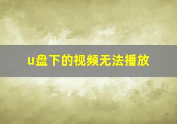 u盘下的视频无法播放