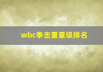 wbc拳击重量级排名