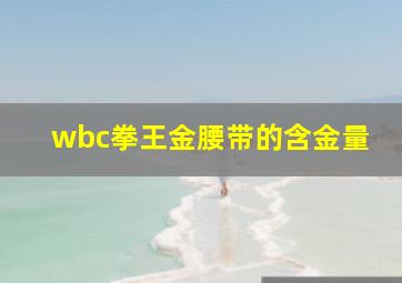 wbc拳王金腰带的含金量