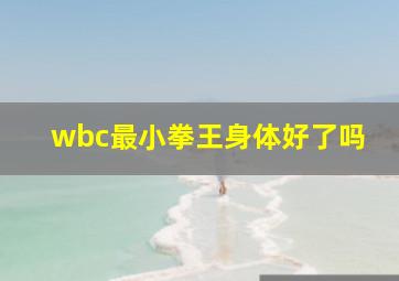 wbc最小拳王身体好了吗