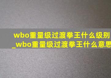 wbo重量级过渡拳王什么级别_wbo重量级过渡拳王什么意思