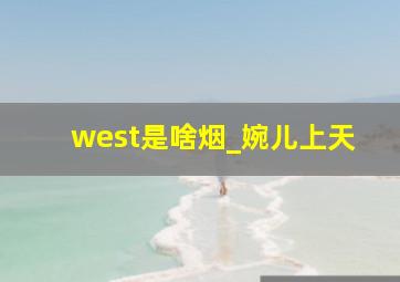 west是啥烟_婉儿上天