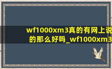 wf1000xm3真的有网上说的那么好吗_wf1000xm3现在还值得买吗