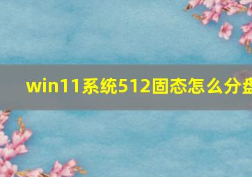 win11系统512固态怎么分盘