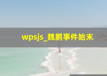 wpsjs_魏鹏事件始末