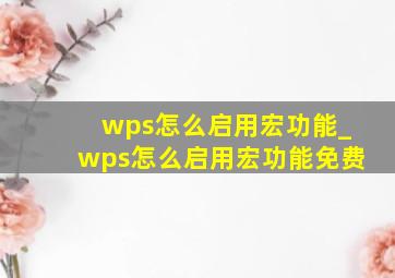 wps怎么启用宏功能_wps怎么启用宏功能免费