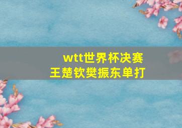 wtt世界杯决赛王楚钦樊振东单打