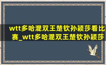 wtt多哈混双王楚钦孙颖莎看比赛_wtt多哈混双王楚钦孙颖莎直播