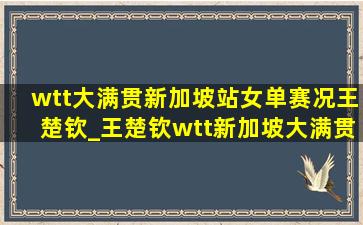 wtt大满贯新加坡站女单赛况王楚钦_王楚钦wtt新加坡大满贯赛女单