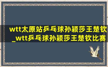 wtt太原站乒乓球孙颖莎王楚钦_wtt乒乓球孙颖莎王楚钦比赛回放