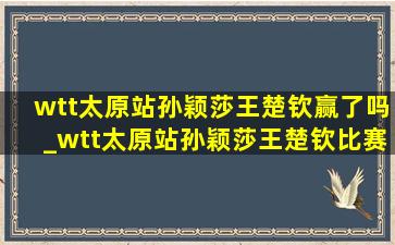 wtt太原站孙颖莎王楚钦赢了吗_wtt太原站孙颖莎王楚钦比赛视频