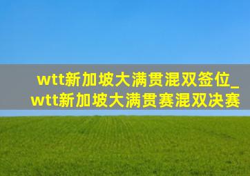 wtt新加坡大满贯混双签位_wtt新加坡大满贯赛混双决赛