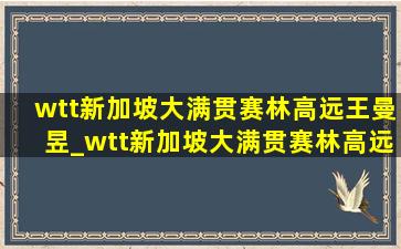 wtt新加坡大满贯赛林高远王曼昱_wtt新加坡大满贯赛林高远vs王楚钦