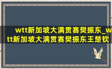 wtt新加坡大满贯赛樊振东_wtt新加坡大满贯赛樊振东王楚钦