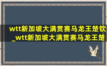 wtt新加坡大满贯赛马龙王楚钦_wtt新加坡大满贯赛马龙王楚钦胜负