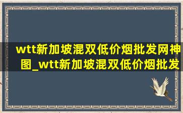 wtt新加坡混双(低价烟批发网)神图_wtt新加坡混双(低价烟批发网)是谁