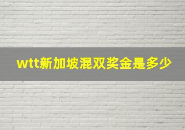 wtt新加坡混双奖金是多少