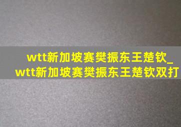 wtt新加坡赛樊振东王楚钦_wtt新加坡赛樊振东王楚钦双打