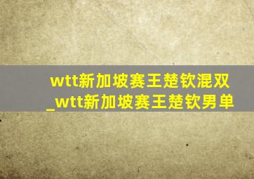 wtt新加坡赛王楚钦混双_wtt新加坡赛王楚钦男单