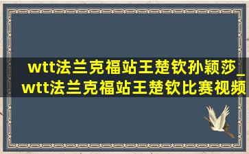 wtt法兰克福站王楚钦孙颖莎_wtt法兰克福站王楚钦比赛视频