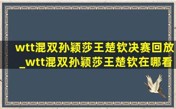 wtt混双孙颖莎王楚钦决赛回放_wtt混双孙颖莎王楚钦在哪看