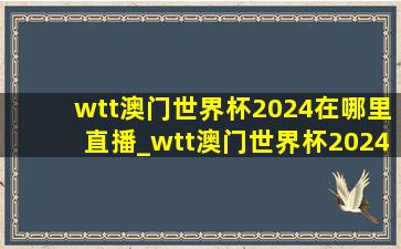 wtt澳门世界杯2024在哪里直播_wtt澳门世界杯2024在哪直播