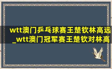 wtt澳门乒乓球赛王楚钦林高远_wtt澳门冠军赛王楚钦对林高远