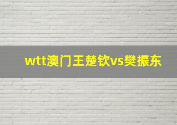 wtt澳门王楚钦vs樊振东