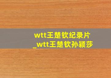 wtt王楚钦纪录片_wtt王楚钦孙颖莎