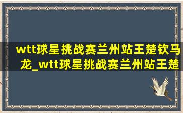 wtt球星挑战赛兰州站王楚钦马龙_wtt球星挑战赛兰州站王楚钦