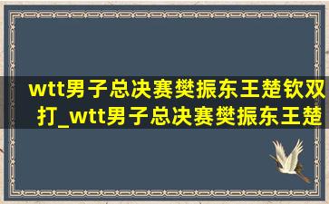 wtt男子总决赛樊振东王楚钦双打_wtt男子总决赛樊振东王楚钦