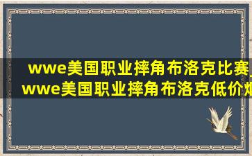 wwe美国职业摔角布洛克比赛_wwe美国职业摔角布洛克(低价烟批发网)赛事