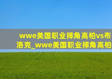 wwe美国职业摔角高柏vs布洛克_wwe美国职业摔角高柏