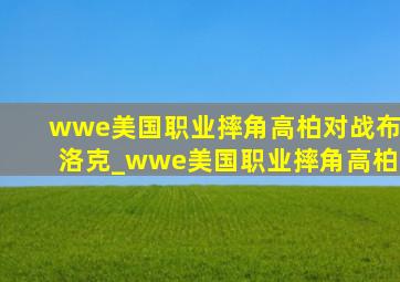 wwe美国职业摔角高柏对战布洛克_wwe美国职业摔角高柏