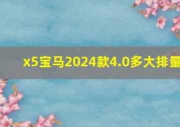 x5宝马2024款4.0多大排量