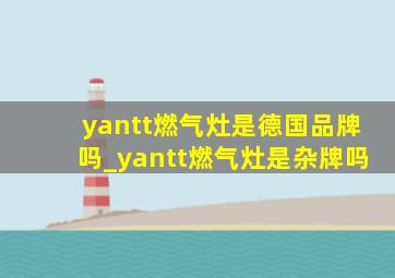 yantt燃气灶是德国品牌吗_yantt燃气灶是杂牌吗