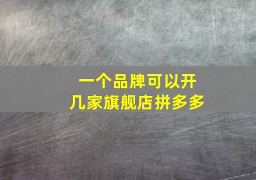 一个品牌可以开几家旗舰店拼多多