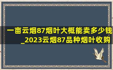 一亩云烟87烟叶大概能卖多少钱_2023云烟87品种烟叶收购价格表